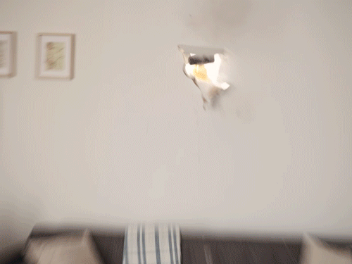 The NFPA's Reverse Renovations